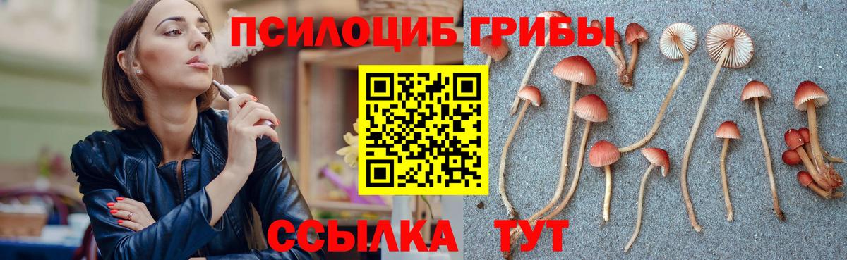Галлюциногенные грибы GOLDEN TEACHER  Псилоцибиновые грибы MAGIC MUSHROOMS  купить  сайты  Вход с VPN  Губаха 