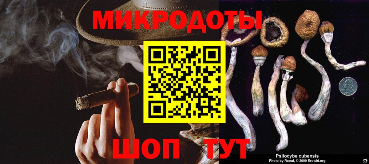 Псилоцибиновые грибы GOLDEN TEACHER Губаха